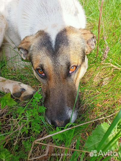 Замечательный мальчик