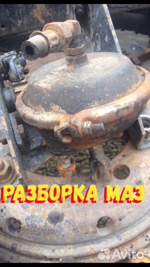 Тормозная Камера маз