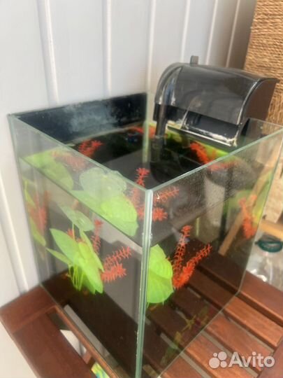 Отдам аквариум с рыбками