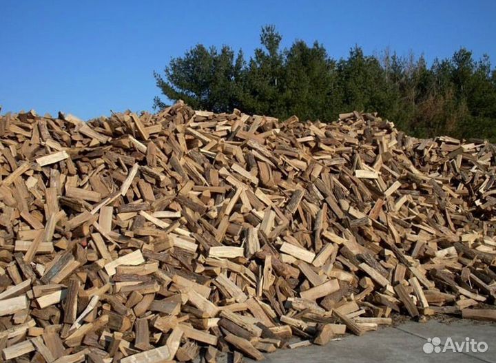 Дрова в область