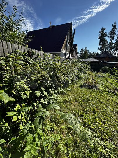 Участок 8 сот. (СНТ, ДНП)