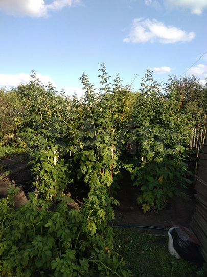 Дача 35 м² на участке 4,5 сот.