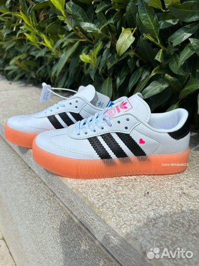 Adidas samba rose
