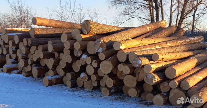 Разнорабочий с ежедневной оплатой строительство