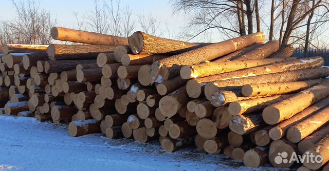 Разнорабочий с ежедневной оплатой строительство