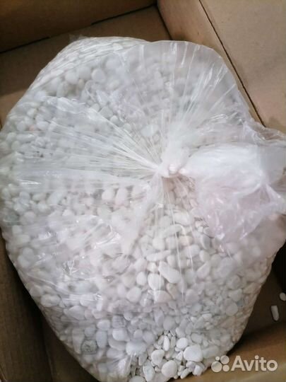 Коряга, грунт