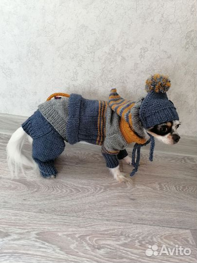 Одежда для животных