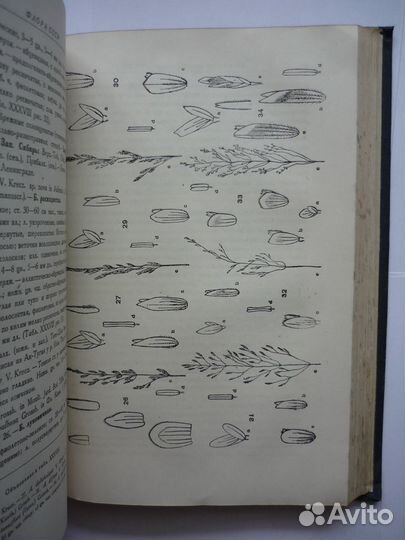 Флора СССР в 30 т.(33 книги)