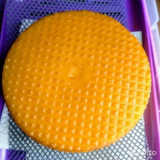 Сыры домашние разноцветные