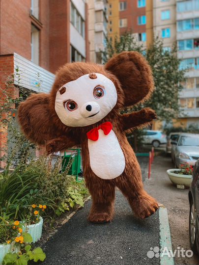 Чебурашка Ушастик аниматор поздравление