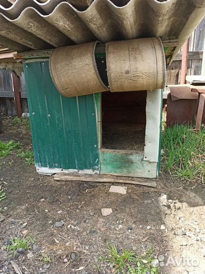 Будка для собаки