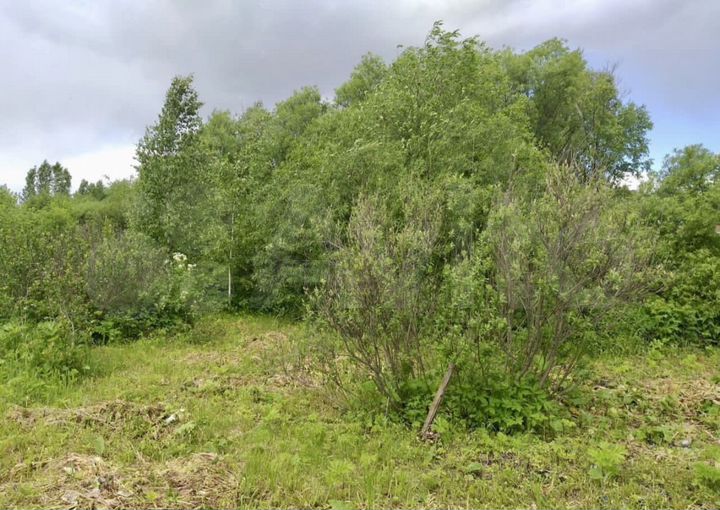 Участок 5 сот. (СНТ, ДНП)