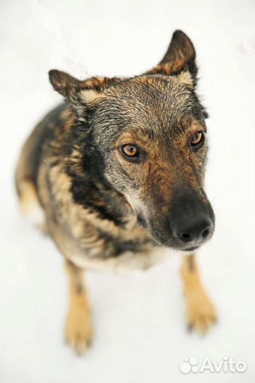 Пожалуйста, не пролистывай меня