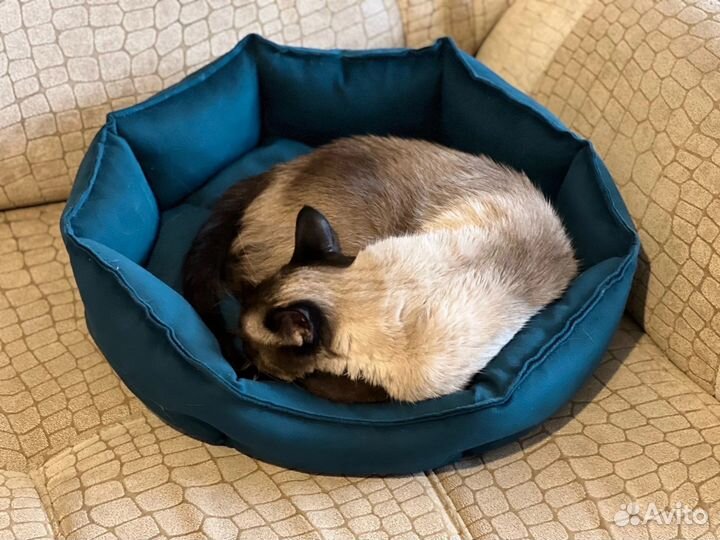 Лежанка для собак и кошек