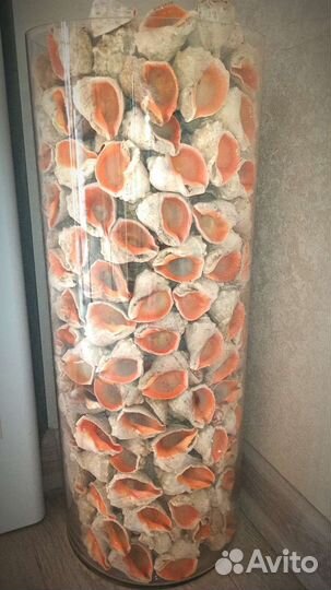 Ваза напольная с раковинами рапана
