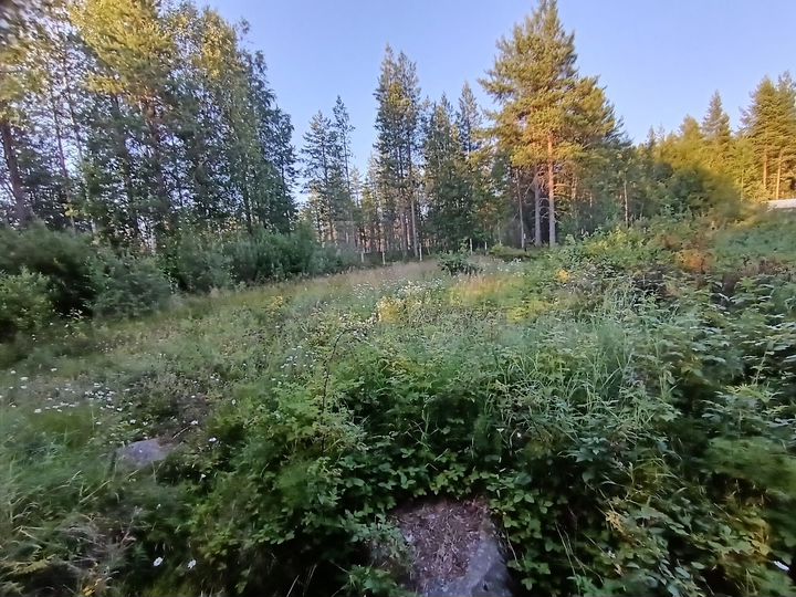 Дача 35 м² на участке 11 сот.