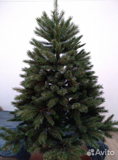 Ель Triumph Тrеe «Леснaя крaсавица»