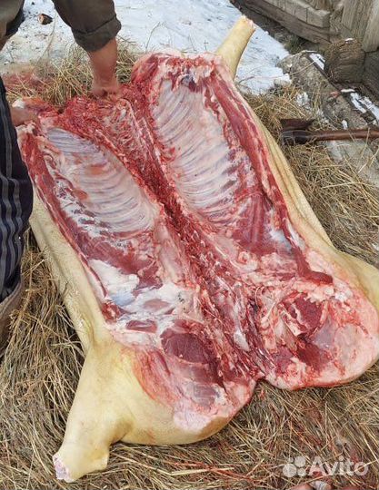 Мясо свинина домашняя