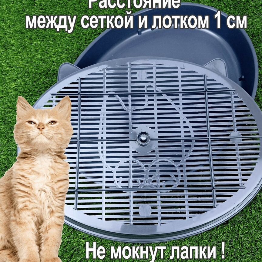 Лоток для котят с низким бортом и сеткой