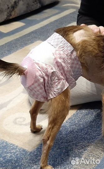 Памперсы для животных