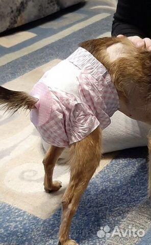 Памперсы для животных