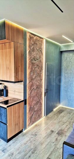 Квартира-студия, 24 м², 9/10 эт.