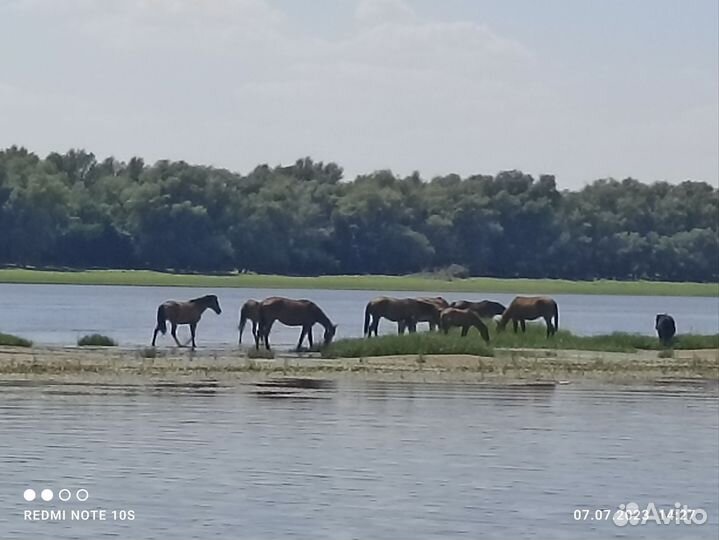 Отдых и рыбалка