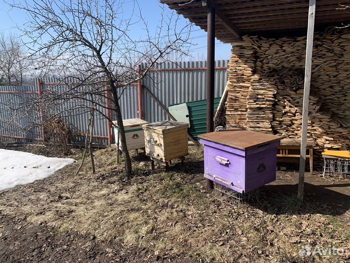 Продаю Ульи