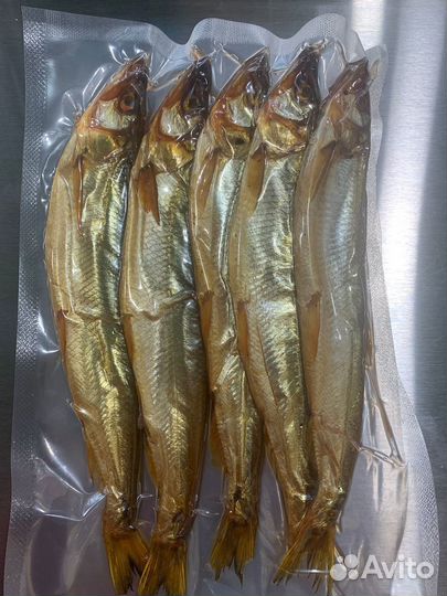 Корюшка, камбала, палтус, нерка, кижуч