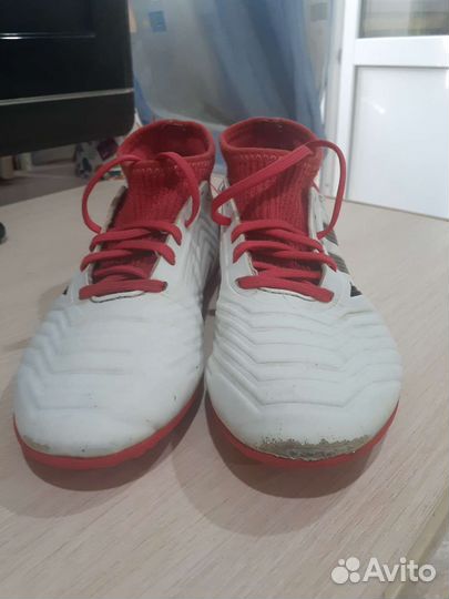 Футзалки adidas predator