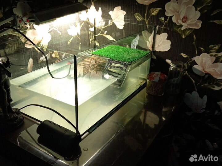 Аквариум