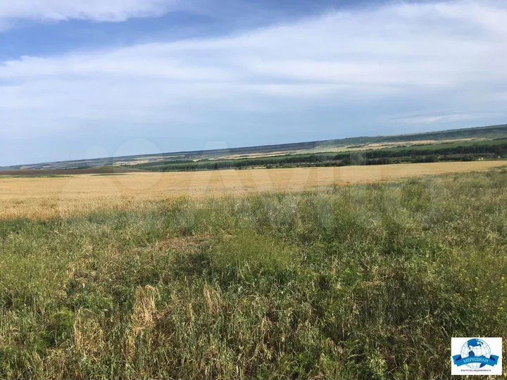 Участок 9370,39 га (СНТ, ДНП)