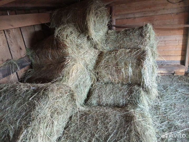 Сено в рулонах, мешках 2023