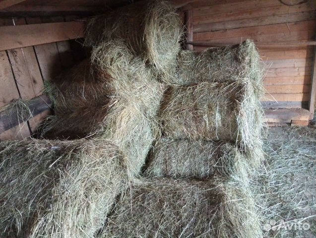 Сено в рулонах, мешках 2023