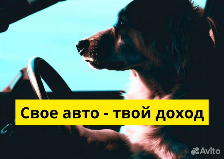 Подработка в Яндекс Go на своем авто
