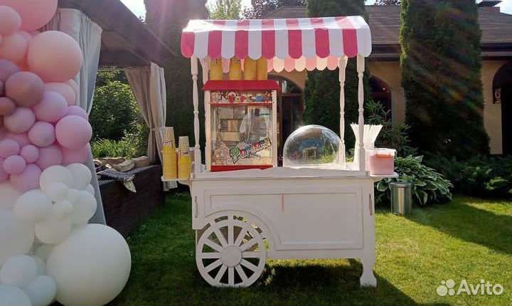 Детские праздники. Выездные мероприятия