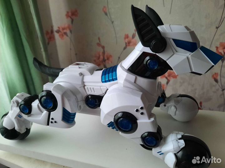Робот Rastar 
