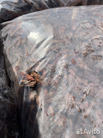 Кора сибирской лиственницы