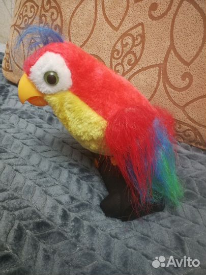 Интерактивный попугай кеша