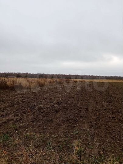 Участок 36 сот. (ИЖС)