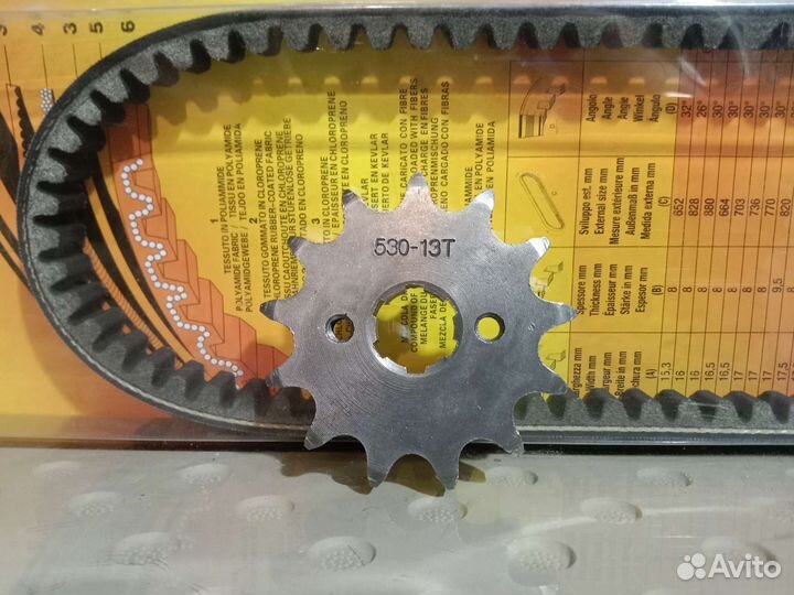 Ведущая звезда TTR 250