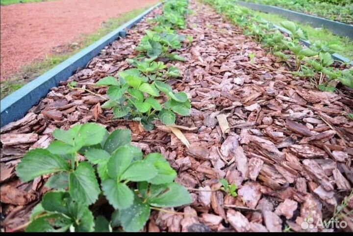 Кора сосны,мульча,Кора лиственицы