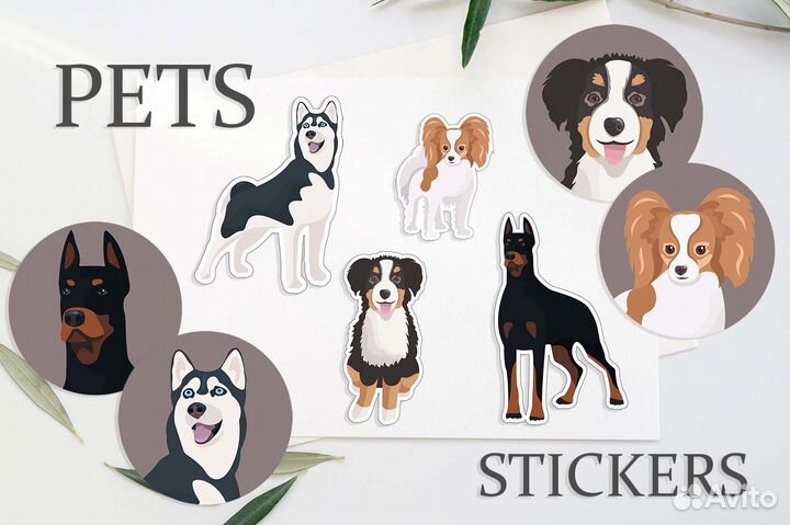 Графический дизайн и иллюстрация