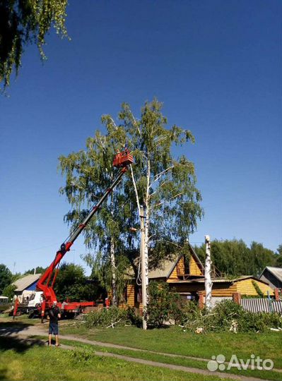 Удаление,спил деревьев