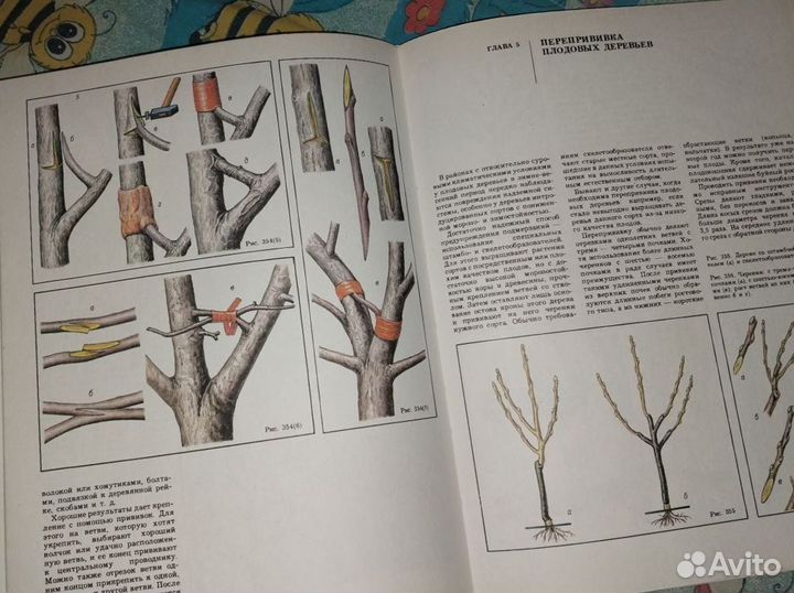 Обрезка плодовых деревьев и ягодных кустарнв книга
