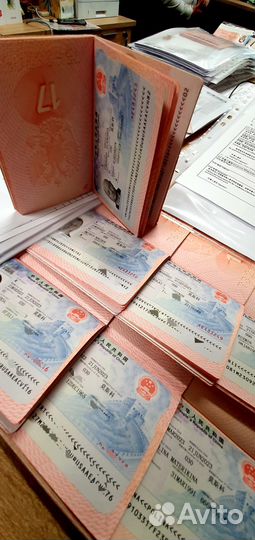 Виза в Китай до 1 года