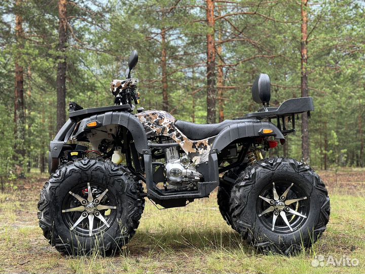 Обновленный promax 320 dominator PRO кардан