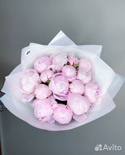 Пионы букет сочи