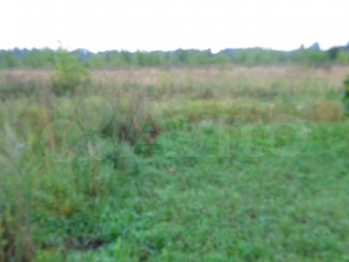 Участок 21,6 сот. (ИЖС)