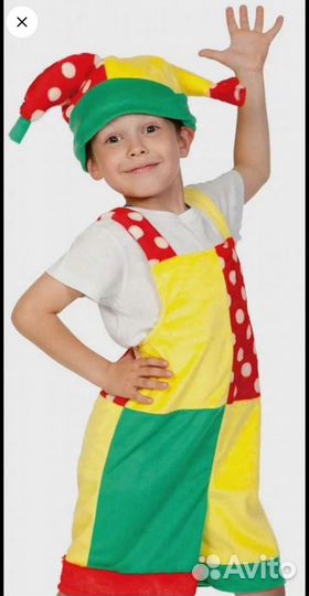 Костюм петрушки